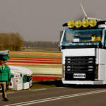 Taryfikator naruszeń kierowców